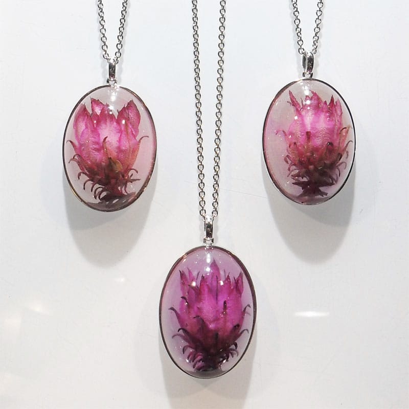 Darwinia Cranbrook Bell Necklace