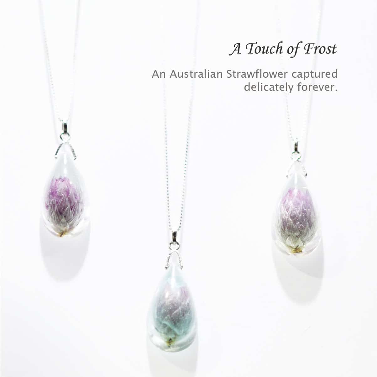 An Australian strawflower(Rhodanthe manglesii) captured in tender eternity. Pendant size : 29 mm X 16 mm Teardrop shape resin pendant with 45 cm silver chain included.