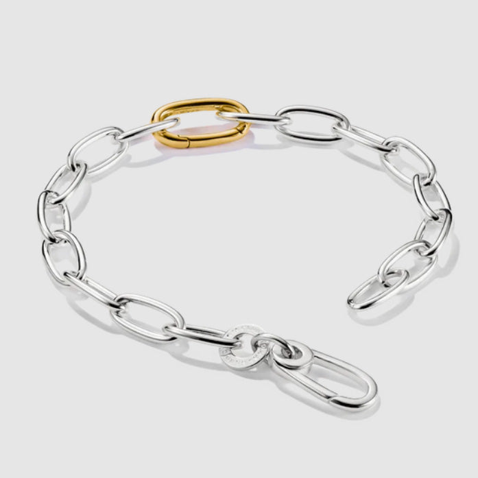 Charm Bracelet Bicolour with Connect Link
