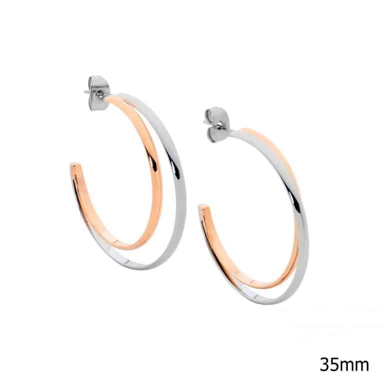 Two Tone Stainless Steel Hoop Earrings