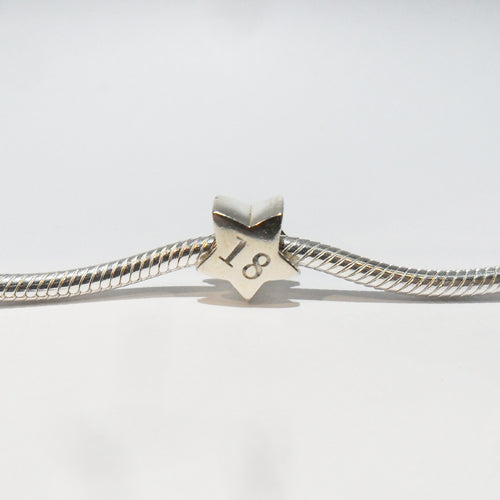 TT237_18 Silver Star 18 Charm
