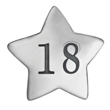 TT237_18 Silver Star 18 Charm