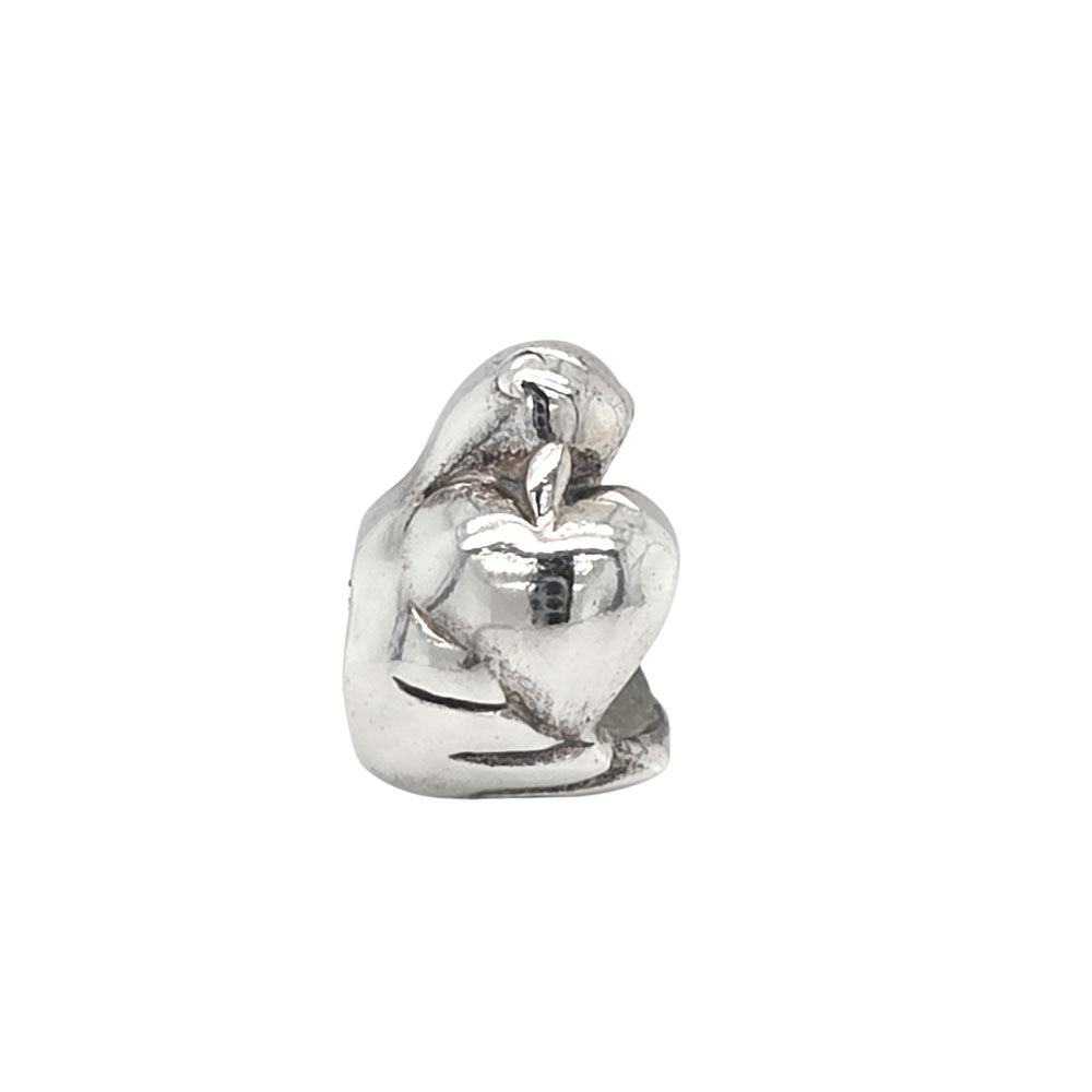 TT639 Silver Love Swan Charm
