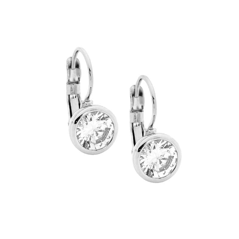 Stainless Steel Crystal Lever Back Earrings white Gold