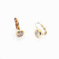 Stainless Steel Crystal Lever Back Earrings Yellow Gold