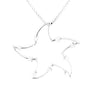 Star Silver Long Necklace
