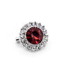 Crystal Small Support Brooch Red