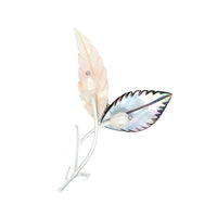 White and Black Mother of Pearl Brooch