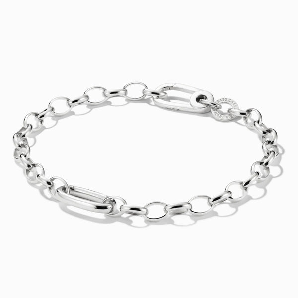 Charm Bracelet with Connect Link Silver