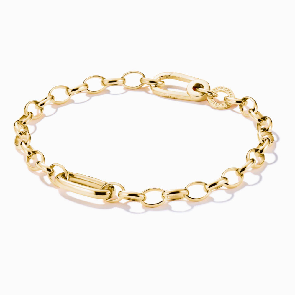 Charm Bracelet with Connect Link Gold