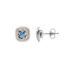 Blue Colour CZ Studs in Silver