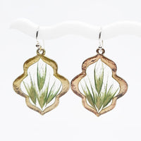 Faith Earrings with Bottle Brush Native Grass