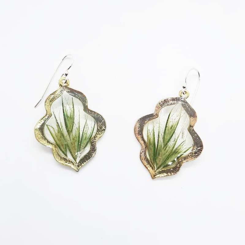 Faith Earrings with Bottle Brush Native Grass
