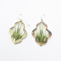 Faith Earrings with Bottle Brush Native Grass