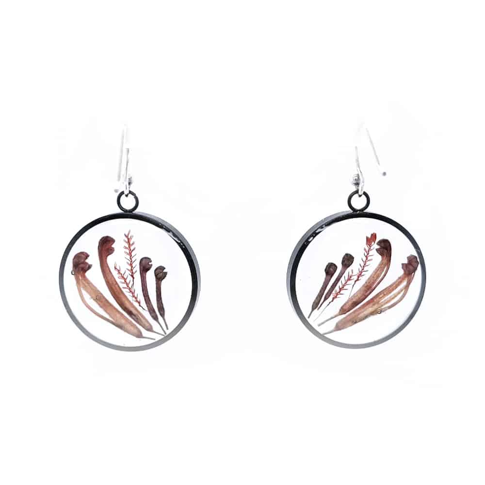 BOTANIGEM Graceful Grevillea Earrings