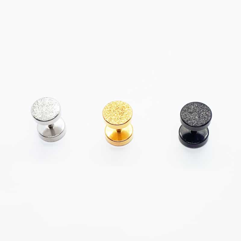 Stainless Steel Sanded Surface Finish Earring ME120-2