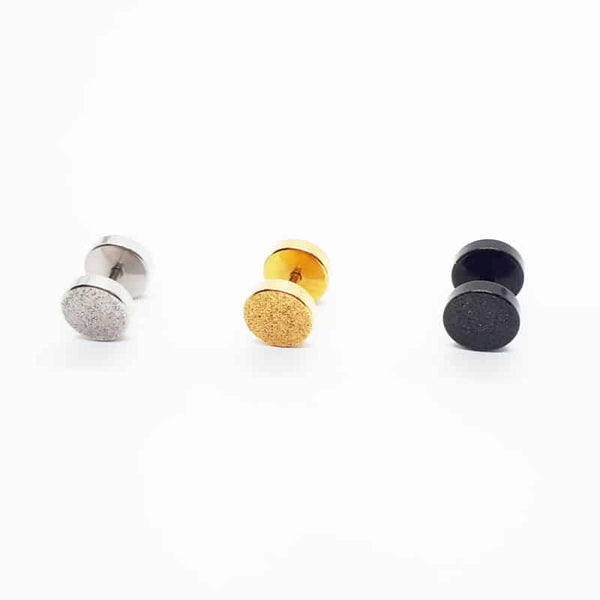 Stainless Steel Sanded Surface Finish Earring ME120-3