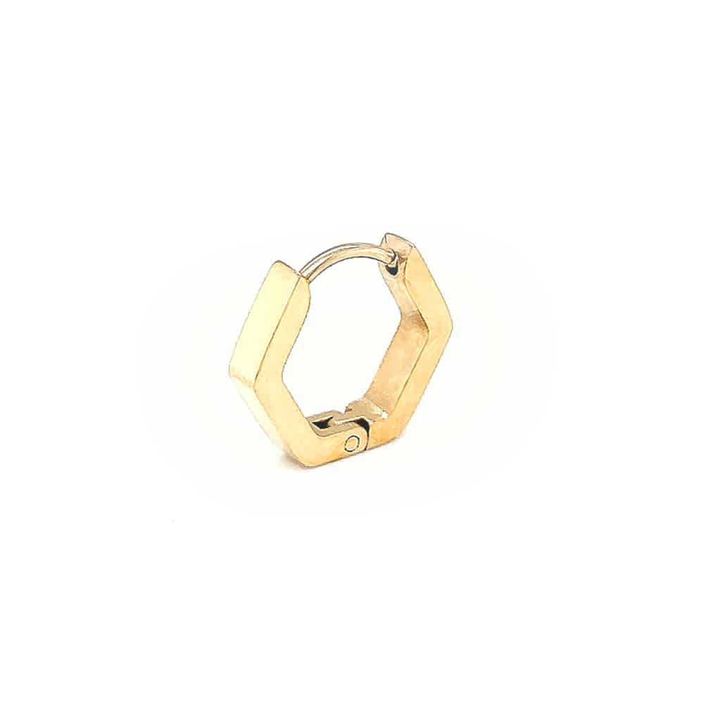 Stainless Steel Hexagon Hinge Style Single Earring