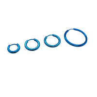 Stainless Steel Blue Hoop Earring