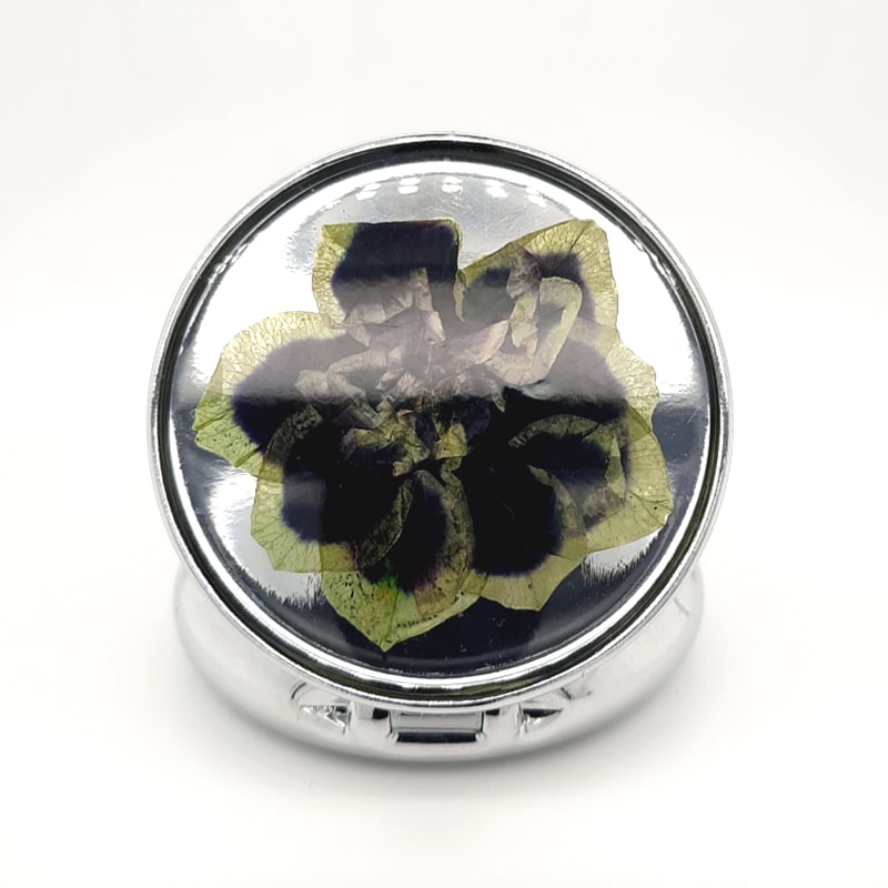 Midnight Gold Pill Case