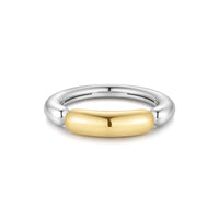 Two-Tone Segmented Puffy Ring