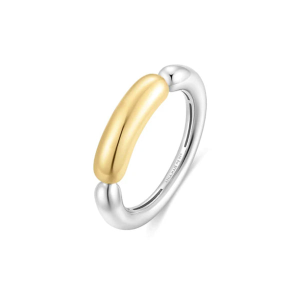 Two-Tone Segmented Puffy Ring