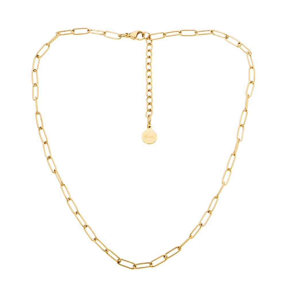 Gold Plated Stainless Steel Chain Necklace