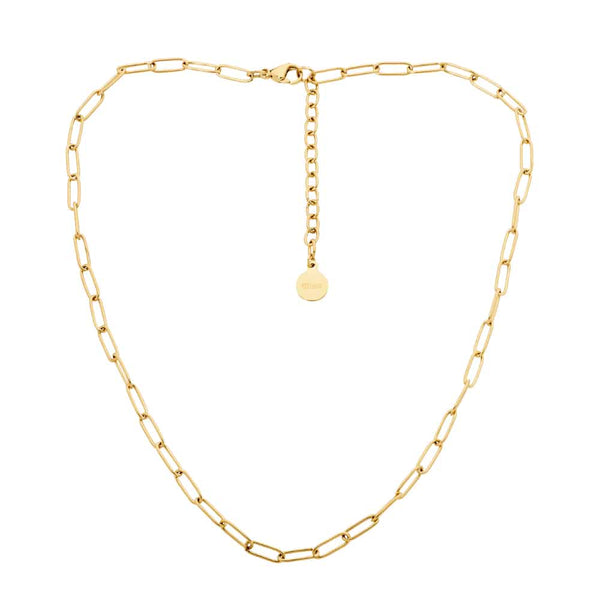 Gold Plated Stainless Steel Chain Necklace