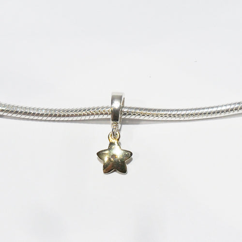 TP066CZG Star Pendant Charm