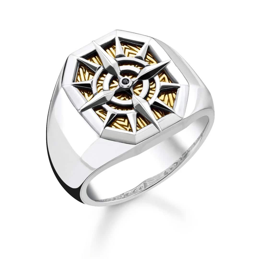 Ring Compass Gold