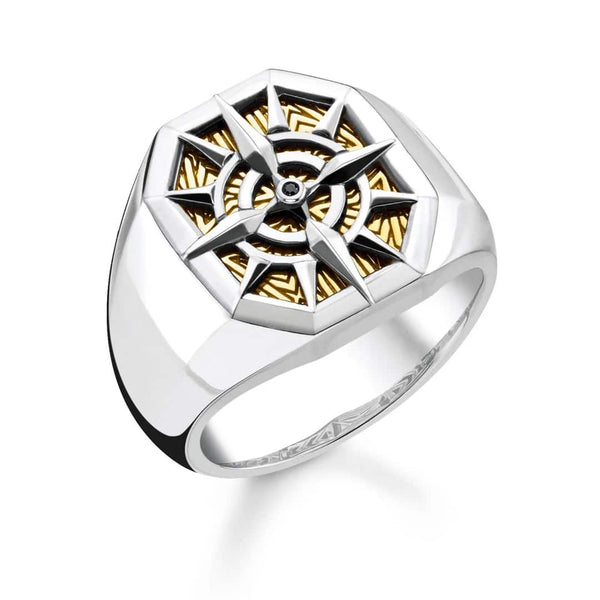 Ring Compass Gold