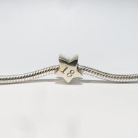 TT237_18 Silver Star 18 Charm