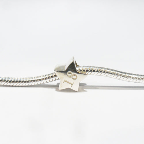 TT237_18 Silver Star 18 Charm