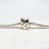TT237_21 Silver Star 21 Charm