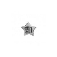TT237_21 Silver Star 21 Charm