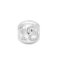 TT305CZ 18th Birthday Charm