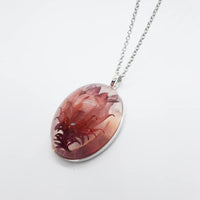 Darwinia Cranbrook Bell Necklace