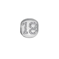 TT305CZ 18th Birthday Charm