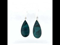 Paua Shell Dragonfly Silver Earrings