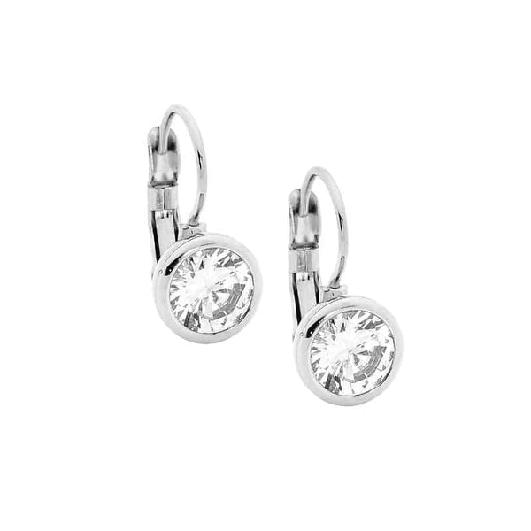 Stainless Steel Crystal Lever Back Earrings white Gold