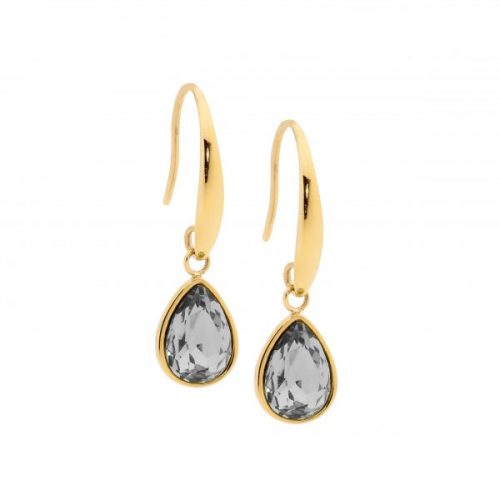Black Diamond Colour Crystal Stainless Steel Earrings Yellow Gold