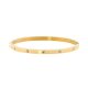 Stainless Steel Bangle Yellow Gold